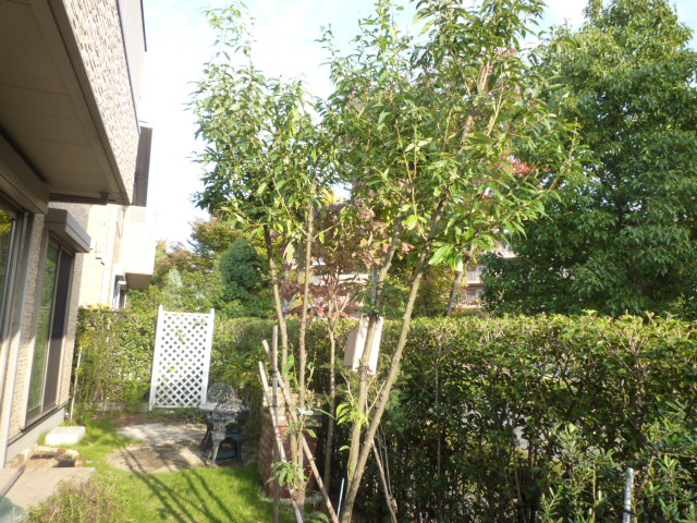 Garden. Garden Home