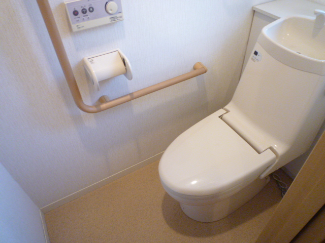 Toilet. Heated toilet seat