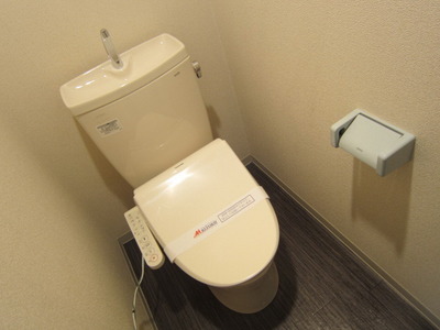 Toilet. It is a beautiful toilet