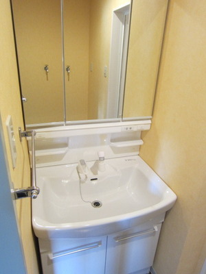 Washroom. It is a convenient washbasin