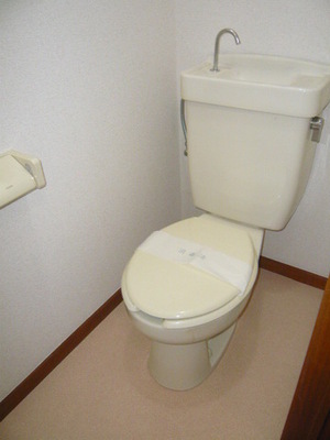 Toilet. It has become another bus toilet.