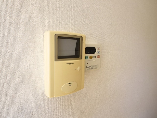 Security. Monitor with intercom