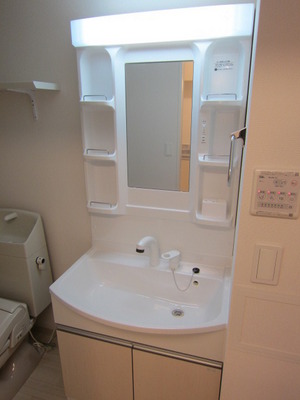 Washroom. Popular shampoo dresser