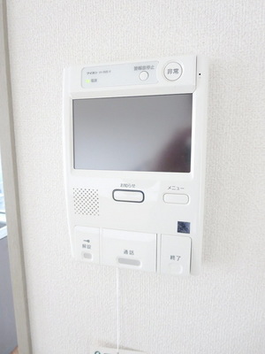Security. Intercom with TV monitor