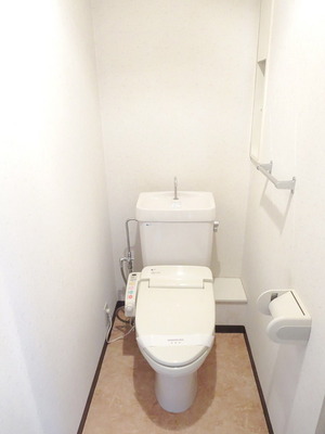 Toilet. Washlet toilet