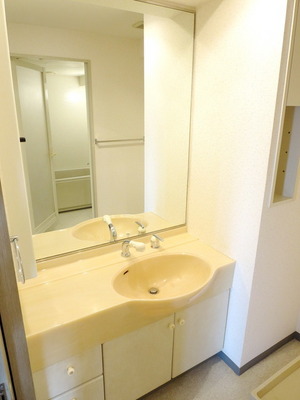 Washroom. Independent washbasin