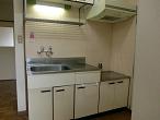 Kitchen. Two-burner gas stove will be installed.