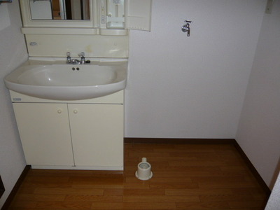 Other Equipment. Washing machine in the room