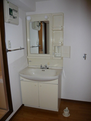Washroom. Independent wash basin Ureshii