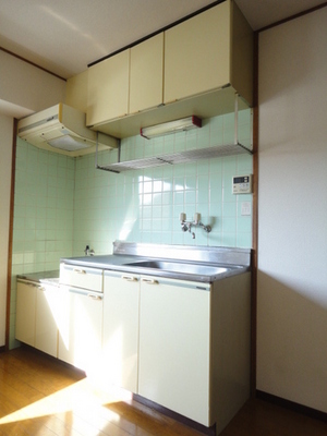 Kitchen. Spacious kitchen space, 2-neck is a gas stove can be installed