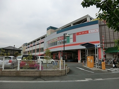Shopping centre. 750m until Amelia Inagi shopping center (shopping center)
