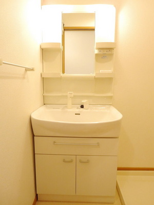 Washroom. Independent wash basin with morning happy hand shower