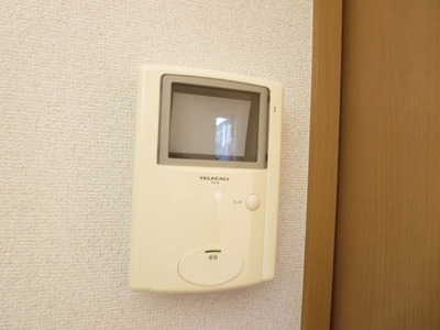 Security. Monitor with intercom