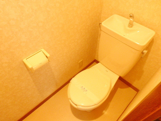Toilet. Toilet