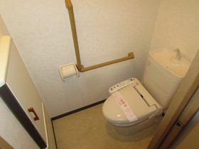 Toilet. Cleaning function with toilet seat