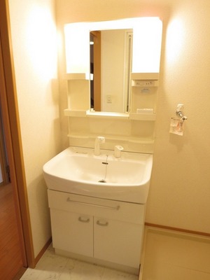 Washroom. Popular independent wash basin