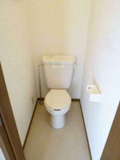 Toilet. White a clean toilet.