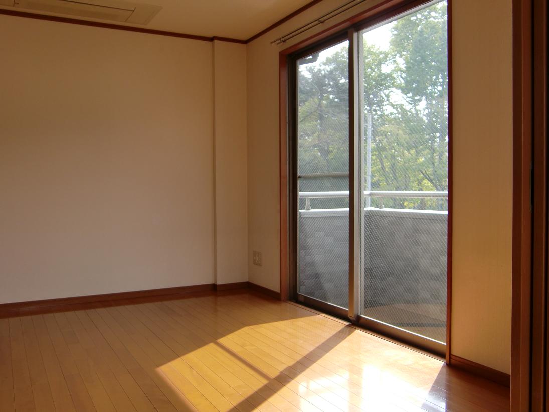 Other room space. Living More of Western-style. closet, With veranda.