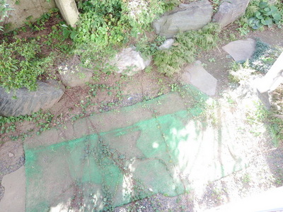 View. Scenery