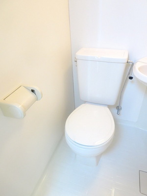 Toilet. Toilet