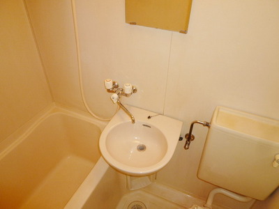 Washroom. It also attached wash basin