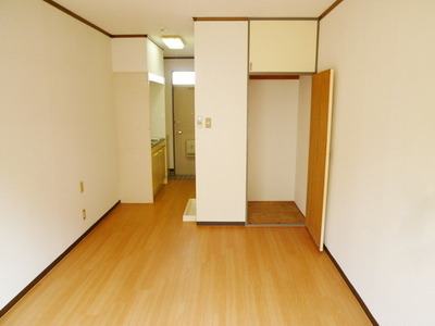 Living and room. Bright room