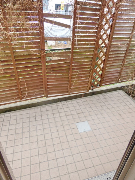 Garden. terrace