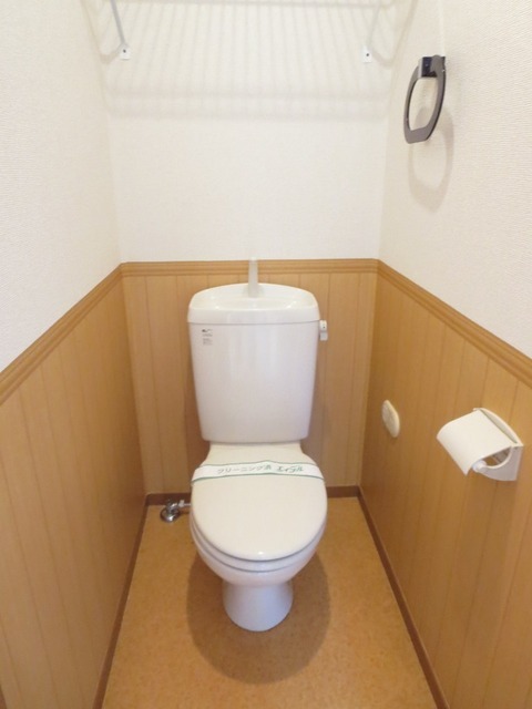 Toilet. Toilet