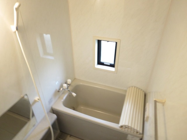 Bath. Spacious clean bath