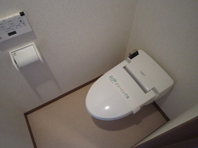 Toilet. Warm water washing toilet seat