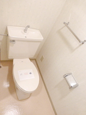 Toilet. Clean toilet