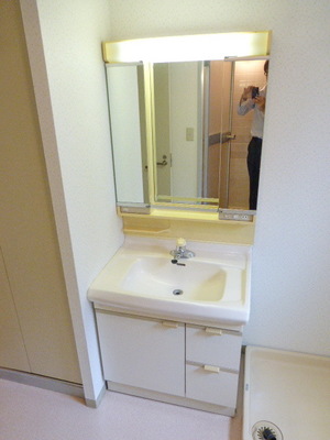Washroom. Independent washbasin