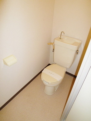 Toilet. Clean toilet