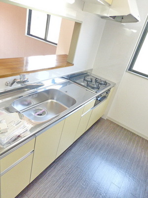 Kitchen. Kitchen