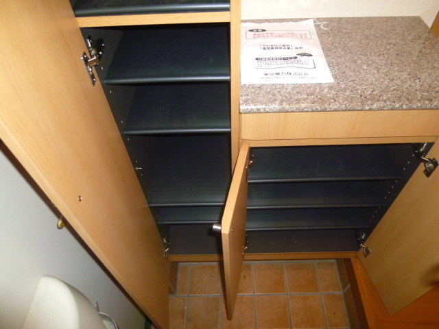 Entrance. Entrance space