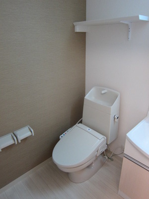 Toilet. There and handy shower toilet