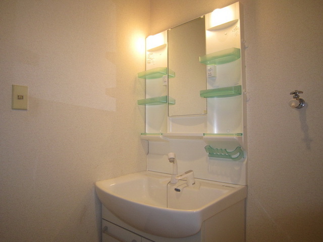 Washroom. Independent wash basin with morning happy hand shower