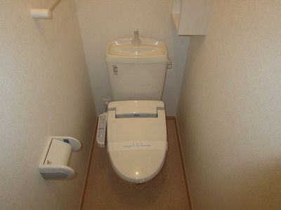 Toilet. Toilet