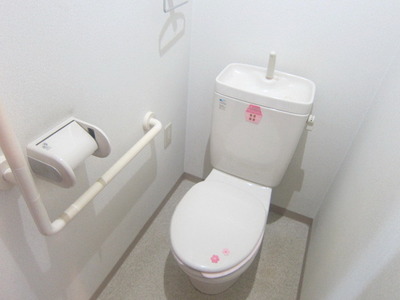 Toilet. It is a beautiful toilet