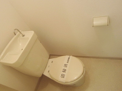 Toilet. It is a beautiful toilet