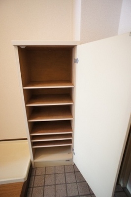 Other. Equipped cupboard! It is also safe in one with a lot of shoes.