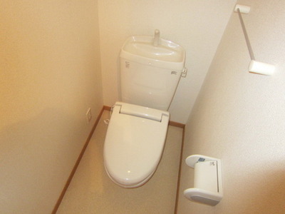 Toilet. Toilet