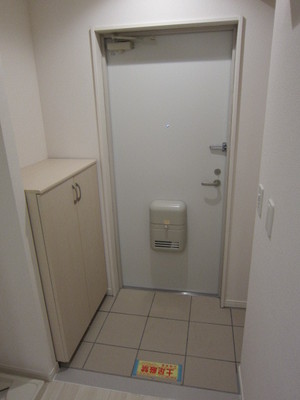 Entrance. Entrance space