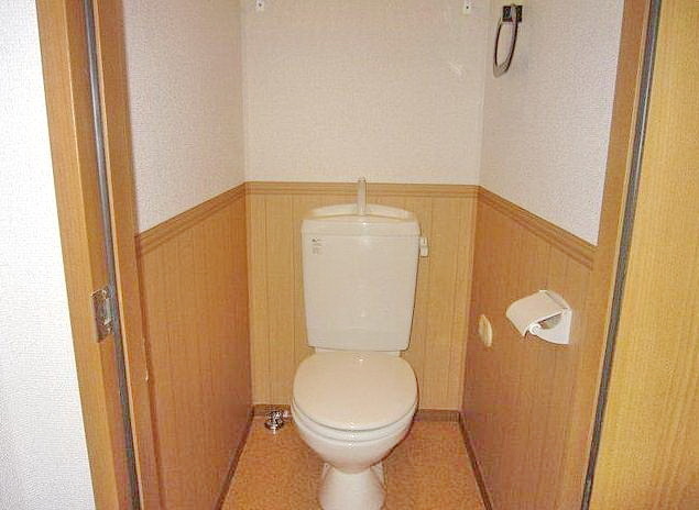 Toilet. Toilet