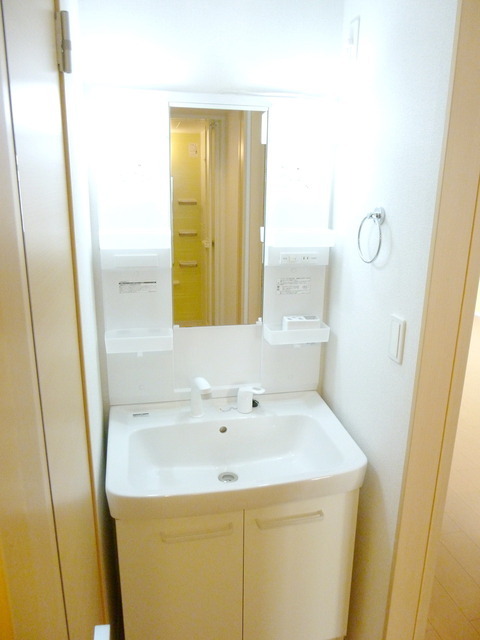 Washroom. Beautiful independent wash basin