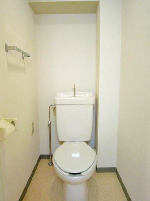 Toilet. With a convenient shelf