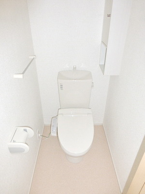 Toilet. The same construction company image view