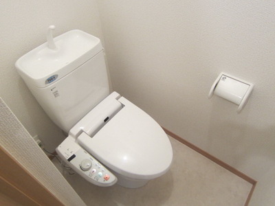 Toilet. It is a beautiful toilet