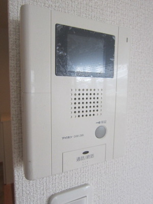 Security. Monitor with a intercom