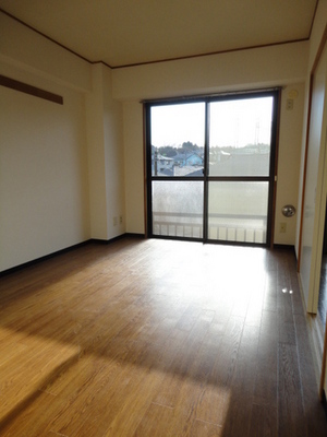 Living and room. Large windows bathed in bright light